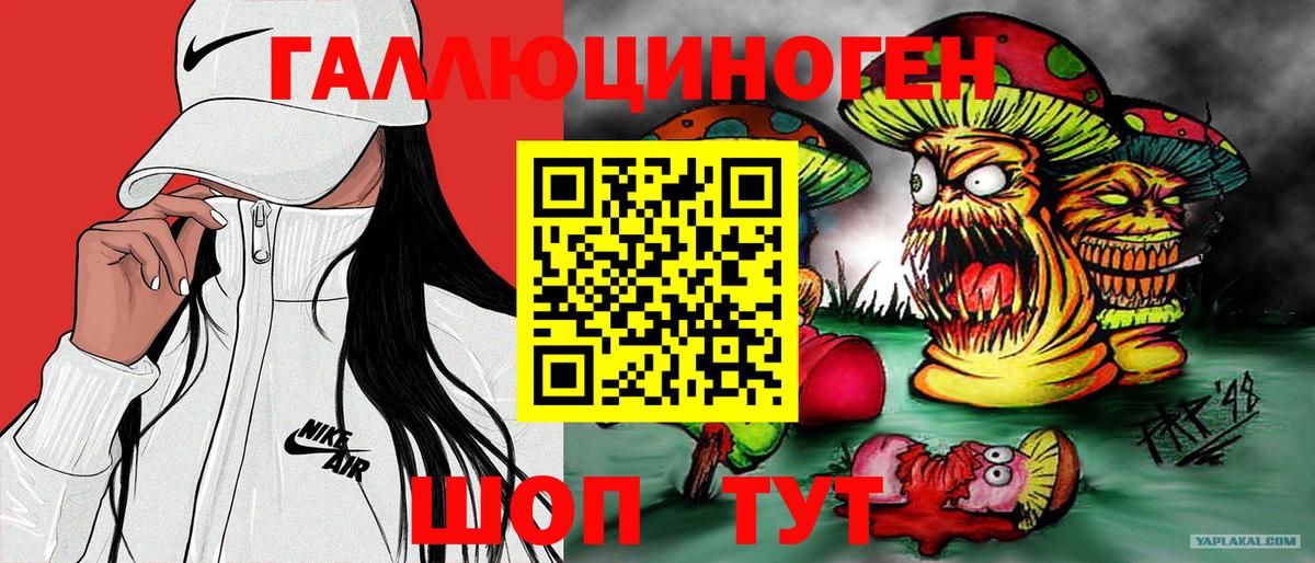 Ртищево  Галлюциногенные грибы прущие грибы  Вход с VPN 