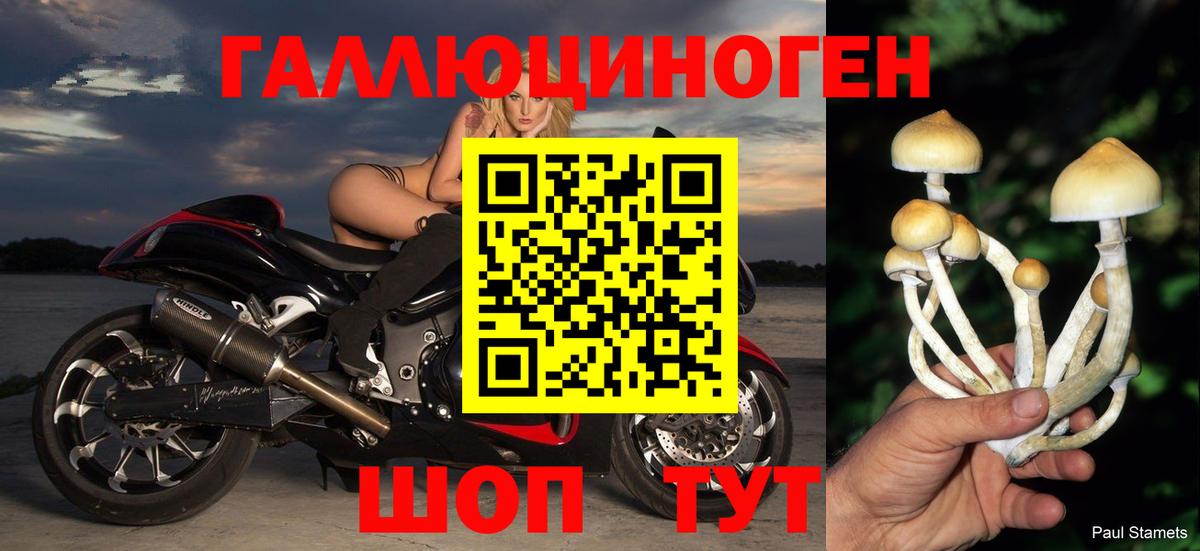 Галлюциногенные грибы MAGIC MUSHROOMS Ртищево
